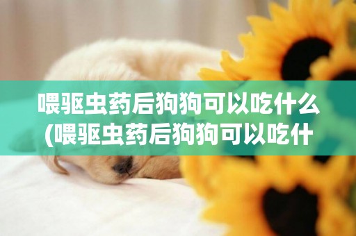 喂驅蟲藥后狗狗可以吃什么(喂驅蟲藥后狗狗可以吃什么食物)