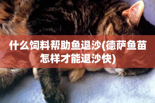 什么飼料幫助魚退沙(德薩魚苗怎樣才能退沙快)