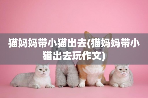 貓媽媽帶小貓出去(貓媽媽帶小貓出去玩作文)