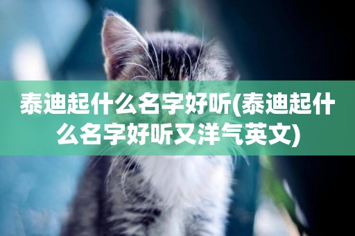 泰迪起什么名字好聽(泰迪起什么名字好聽又洋氣英文)