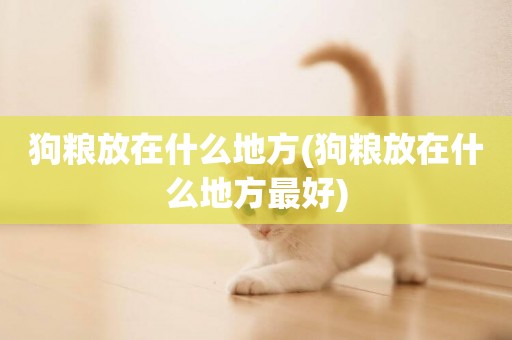 狗糧放在什么地方(狗糧放在什么地方最好)
