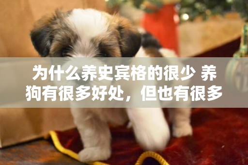 為什么養史賓格的很少 養狗有很多好處，但也有很多壞處。 你占據哪一個？ 