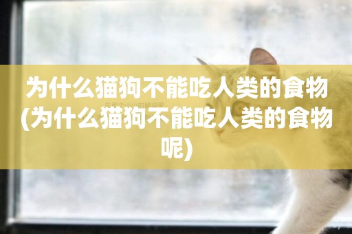 為什么貓狗不能吃人類的食物(為什么貓狗不能吃人類的食物呢)