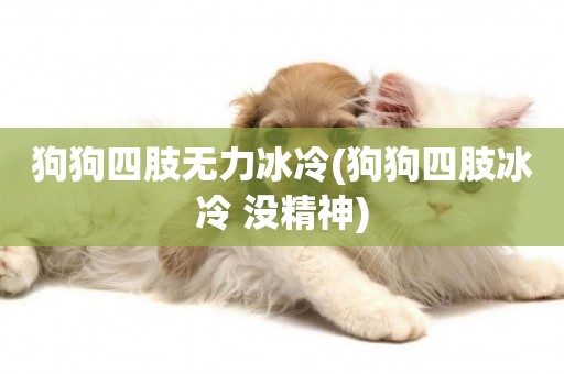 狗狗四肢無力冰冷(狗狗四肢冰冷 沒精神)