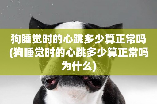 狗睡覺時的心跳多少算正常嗎(狗睡覺時的心跳多少算正常嗎為什么)