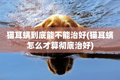 貓耳螨到底能不能治好(貓耳螨怎么才算徹底治好)