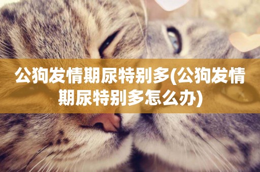 公狗發情期尿特別多(公狗發情期尿特別多怎么辦)