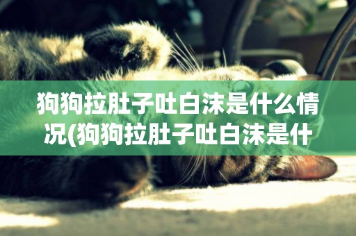 狗狗拉肚子吐白沫是什么情況(狗狗拉肚子吐白沫是什么情況吃什么藥)