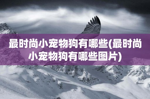 最時尚小寵物狗有哪些(最時尚小寵物狗有哪些圖片)