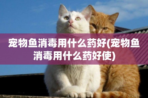 寵物魚消毒用什么藥好(寵物魚消毒用什么藥好使)
