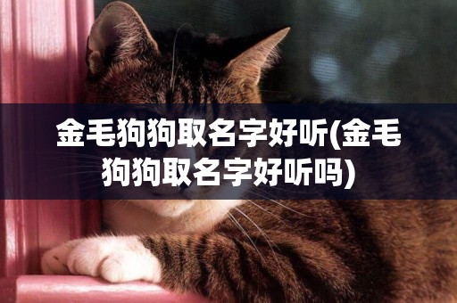 金毛狗狗取名字好聽(金毛狗狗取名字好聽嗎)