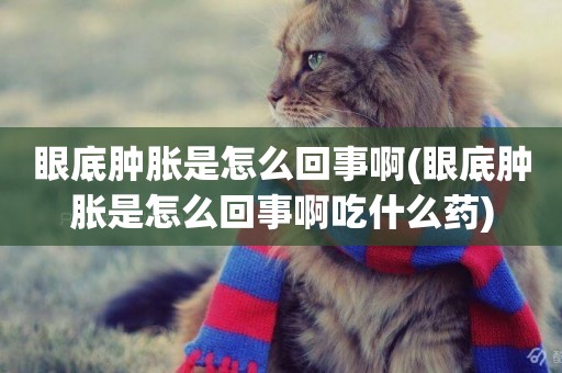 眼底腫脹是怎么回事啊(眼底腫脹是怎么回事啊吃什么藥)