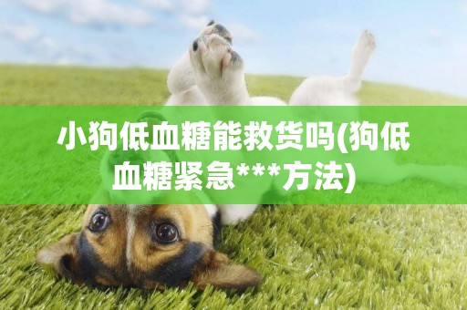 小狗低血糖能救貨嗎(狗低血糖緊急***方法)