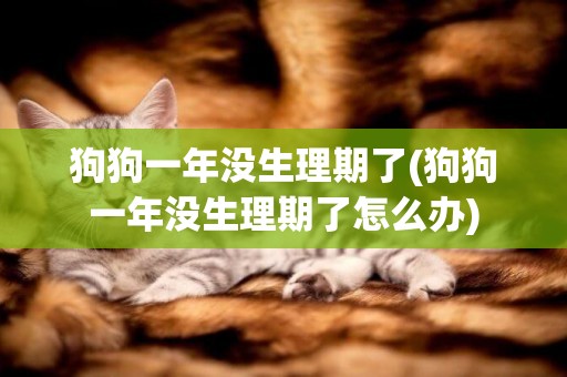 狗狗一年沒生理期了(狗狗一年沒生理期了怎么辦)