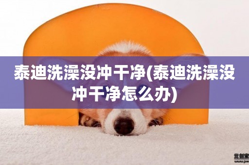 泰迪洗澡沒沖干凈(泰迪洗澡沒沖干凈怎么辦)