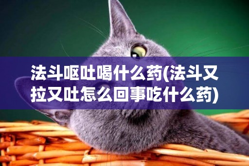 法斗嘔吐喝什么藥(法斗又拉又吐怎么回事吃什么藥)