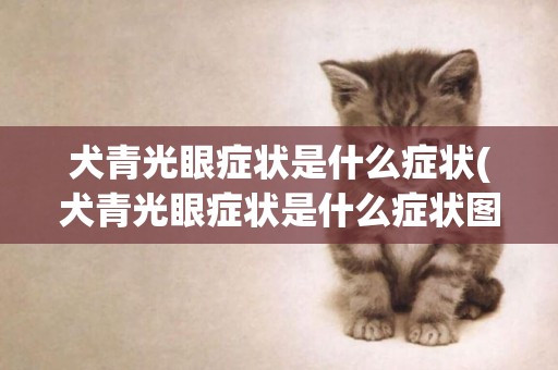 犬青光眼癥狀是什么癥狀(犬青光眼癥狀是什么癥狀圖片)