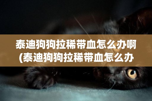 泰迪狗狗拉稀帶血怎么辦啊(泰迪狗狗拉稀帶血怎么辦啊怎么治療)