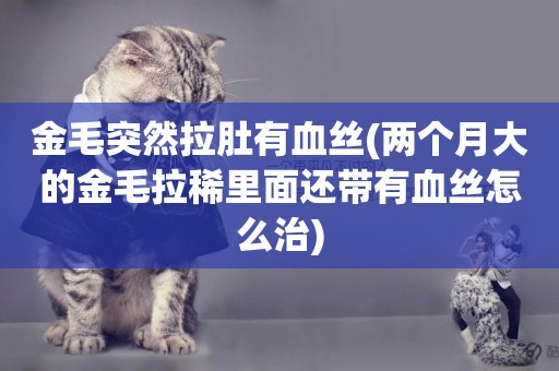 金毛突然拉肚有血絲(兩個月大的金毛拉稀里面還帶有血絲怎么治)