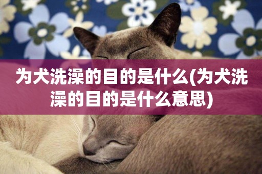 為犬洗澡的目的是什么(為犬洗澡的目的是什么意思)