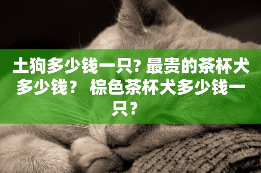 土狗多少錢一只? 最貴的茶杯犬多少錢？ 棕色茶杯犬多少錢一只？ 