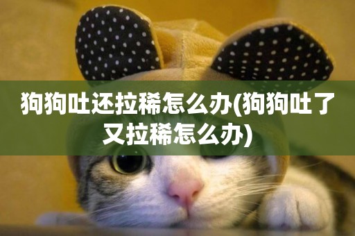 狗狗吐還拉稀怎么辦(狗狗吐了又拉稀怎么辦)