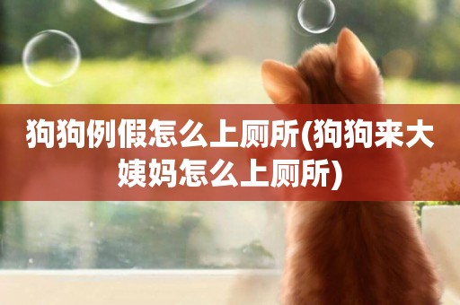 狗狗例假怎么上廁所(狗狗來大姨媽怎么上廁所)