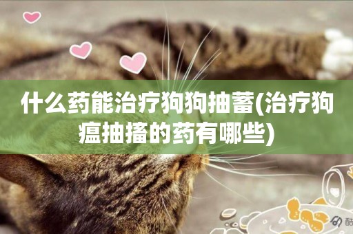什么藥能治療狗狗抽蓄(治療狗瘟抽搐的藥有哪些)