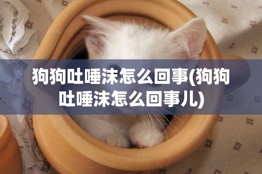 狗狗吐唾沫怎么回事(狗狗吐唾沫怎么回事兒)