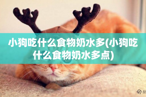 小狗吃什么食物奶水多(小狗吃什么食物奶水多點)