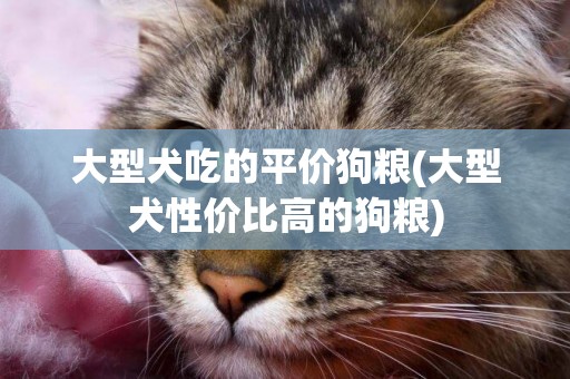 大型犬吃的平價狗糧(大型犬性價比高的狗糧)