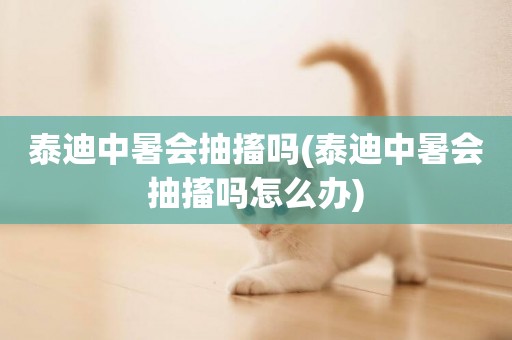 泰迪中暑會抽搐嗎(泰迪中暑會抽搐嗎怎么辦)
