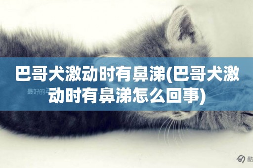 巴哥犬激動時有鼻涕(巴哥犬激動時有鼻涕怎么回事)