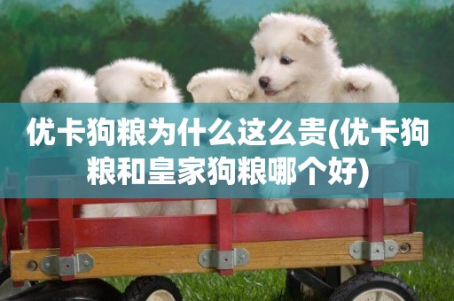 優卡狗糧為什么這么貴(優卡狗糧和皇家狗糧哪個好)