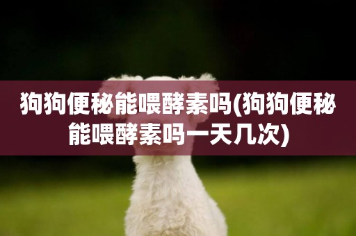 狗狗便秘能喂酵素嗎(狗狗便秘能喂酵素嗎一天幾次)