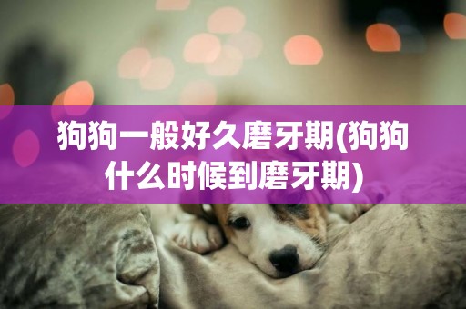 狗狗一般好久磨牙期(狗狗什么時候到磨牙期)