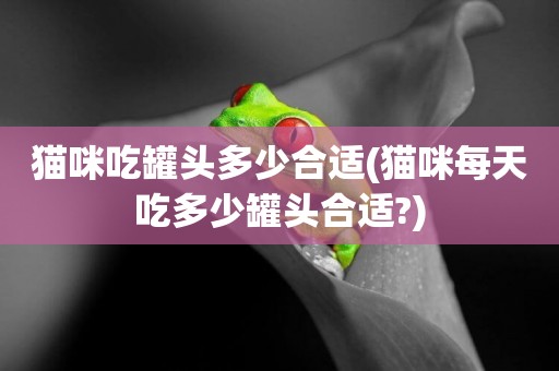 貓咪吃罐頭多少合適(貓咪每天吃多少罐頭合適?)