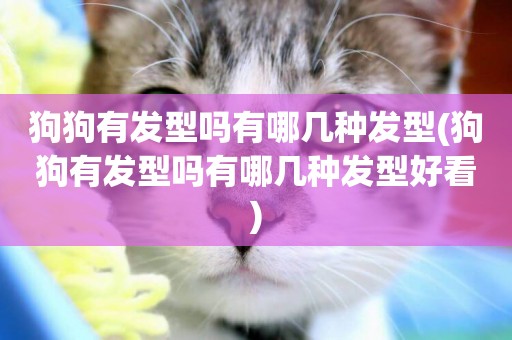 狗狗有發型嗎有哪幾種發型(狗狗有發型嗎有哪幾種發型好看)