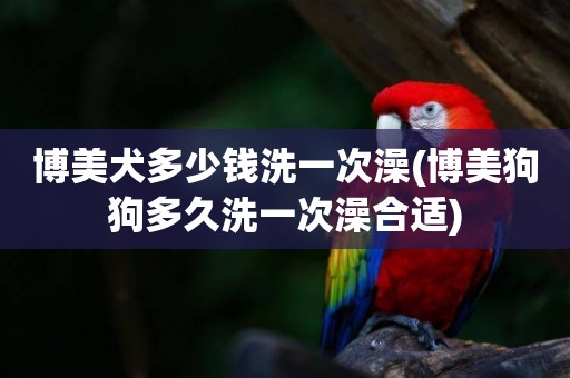 博美犬多少錢洗一次澡(博美狗狗多久洗一次澡合適)
