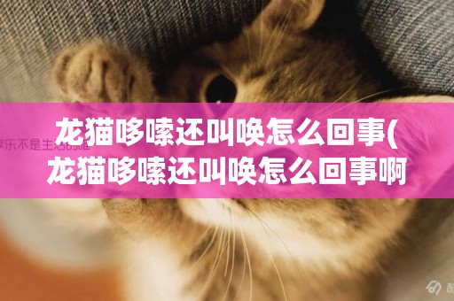 龍貓哆嗦還叫喚怎么回事(龍貓哆嗦還叫喚怎么回事啊)