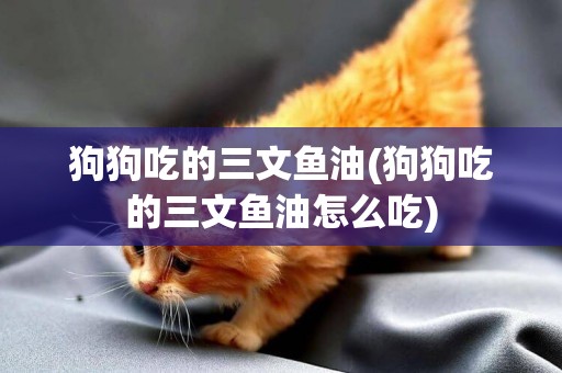 狗狗吃的三文魚油(狗狗吃的三文魚油怎么吃)