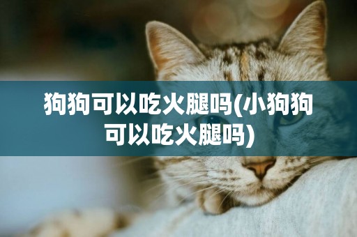 狗狗可以吃火腿嗎(小狗狗可以吃火腿嗎)