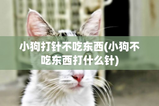 小狗打針不吃東西(小狗不吃東西打什么針)