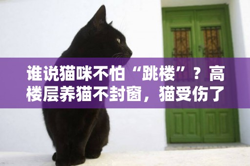 誰說貓咪不怕“跳樓”？高樓層養貓不封窗，貓受傷了你別哭！