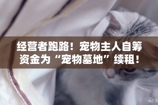 經營者跑路！寵物主人自籌資金為“寵物墓地”續租！央視調查寵物殯葬行業背后***