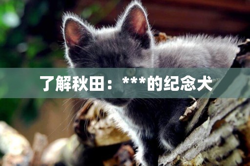 了解秋田：***的紀念犬