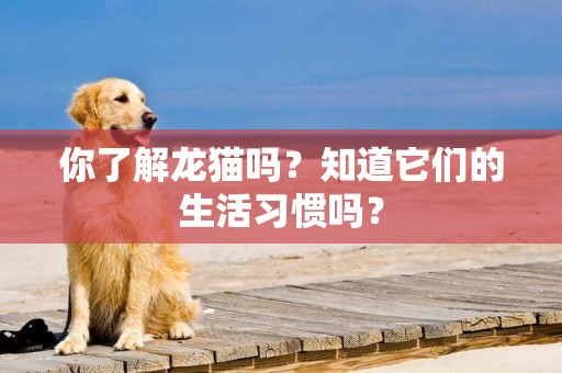 你了解龍貓嗎？知道它們的生活習慣嗎？