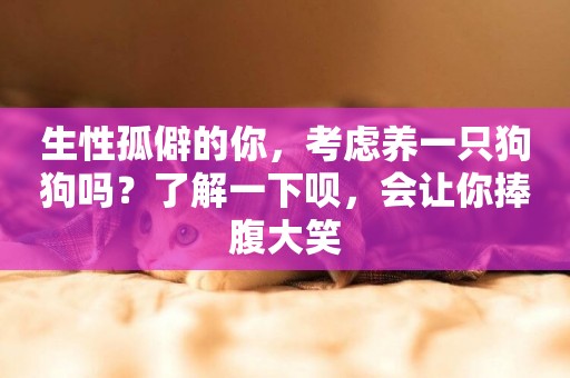 生性孤僻的你，考慮養一只狗狗嗎？了解一下唄，會讓你捧腹大笑