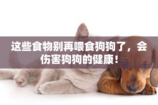 這些食物別再喂食狗狗了，會傷害狗狗的健康！