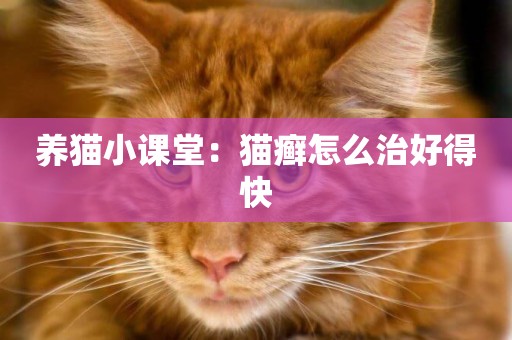 養貓小課堂：貓癬怎么治好得快